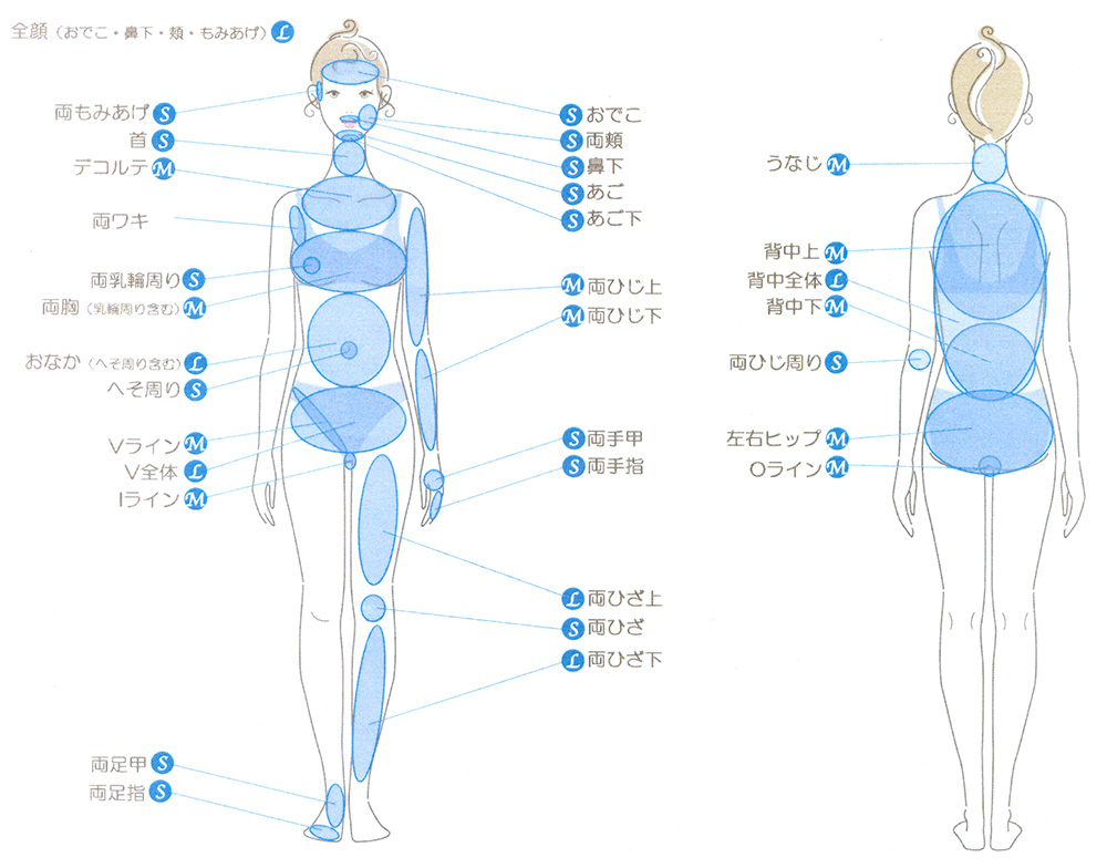 全身脱毛パーツ別